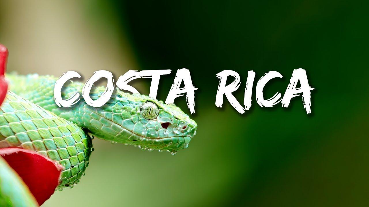 Cómo compartir archivos de forma segura